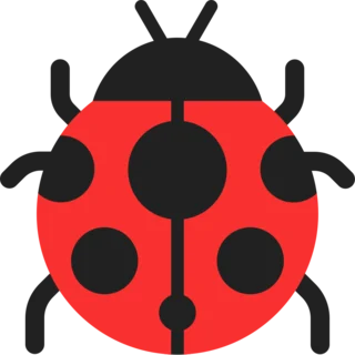 beruška
