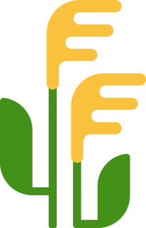 obilí