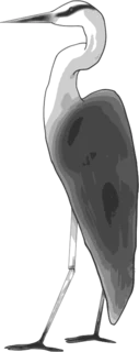 volavka